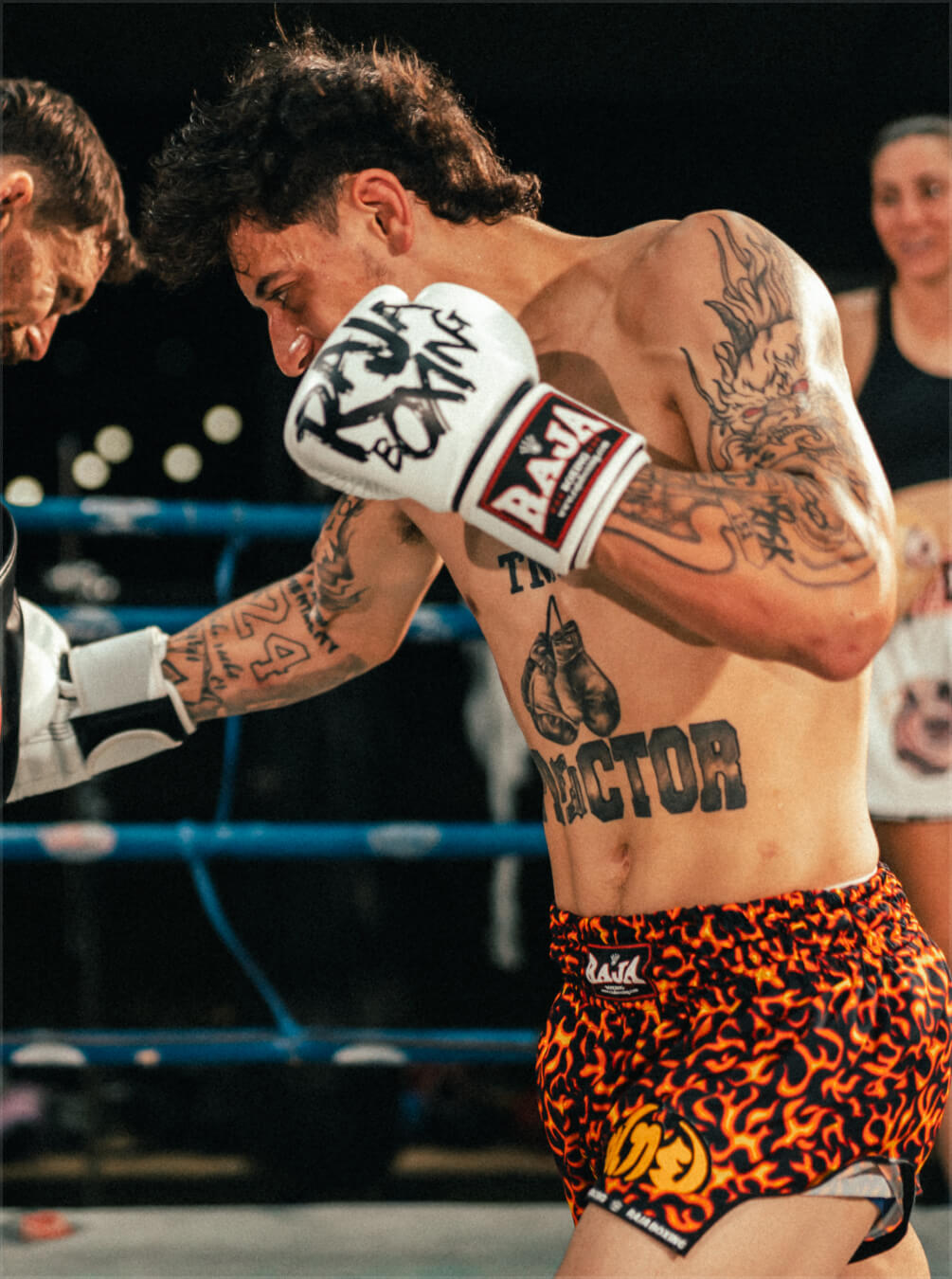 boxer